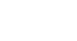 IntEx Pros Logo white color